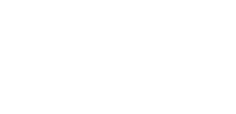 The Rental Girl
